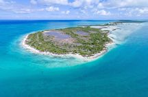 Mangrove Cay and Iguana Island Tours