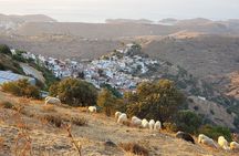Private 2-Day Tour in Kea Island and Meet the Lion