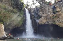 Bali Ubud Full Day All-Inclusive Private Tour – Best Private Tour