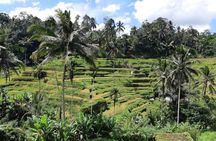 Bali Ubud Full Day All-Inclusive Private Tour – Best Private Tour