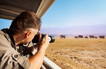 Amboseli National Park 3-Day Guided Safari Tour from Nairobi