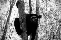 Private Nature and Discovery Tour in Madagascar