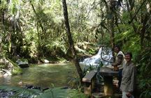 Private Nature and Discovery Tour in Madagascar