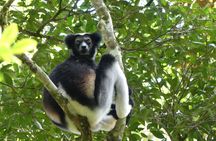Private Nature and Discovery Tour in Madagascar