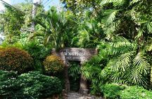 Krabi's Hidden Gems: Emerald Pool & Hot Spring Tour
