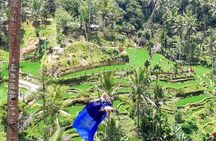 Ubud Private Tour – Best Full-Day All-Inclusive Package