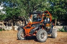 Istra Buggy Tours - Fazana