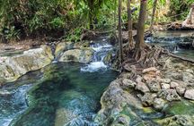 Krabi's Hidden Gems: Emerald Pool & Hot Spring Tour