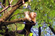Wild Nature and Adventure Combo from Guanacaste