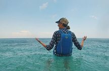 Pelion Sea Kayak Tour "The Secret Cave"