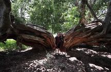 Half Day Tour from Gaborone (Manyana Village Visit)