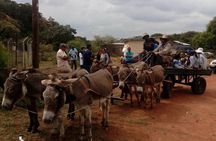 Half Day Tour from Gaborone (Manyana Village Visit)