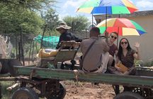 Touring through nature and history near Gaborone 