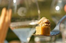 Wine and Gourmet food tasting in Bardolino