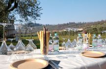 Wine and Gourmet food tasting in Bardolino