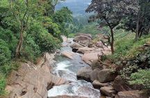 Private Nuwara Eliya City Tour Including Main Attractions
