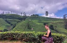 Private Nuwara Eliya City Tour Including Main Attractions