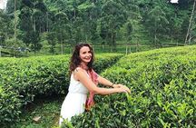 Private Nuwara Eliya City Tour Including Main Attractions