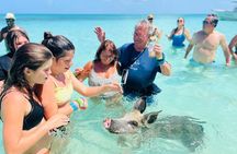 Exuma Day Away - Original Swimming Pigs Excursion