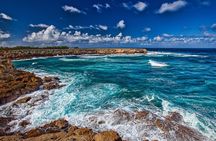  Private Barbados Island Tour 