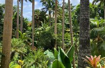 Breathtaking Wonders - Harrisons Cave and Hunte's Gardens