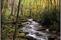 Historic River Town Ramble
