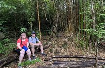 Mount Healthy National Park Private Hike Tour in Tortola
