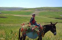 Full day Tour AZZADEN VALLEY & old BERBER Villages 