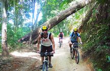 No.1 Chiang Mai: Advanced XC Downhill Biking, Doi Suthep N. Park