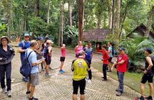 Chiang Mai: Doi Suthep Summit Trek – 7 Hour Pure Hiking Adventure