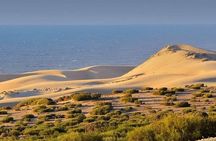 4×4 Jeep Sahara Desert Tour with Lunch & Hotel Transfers