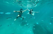 Boat Tour at Devil's Saddle: 4 Swim Stops, Snorkeling & Prosecco