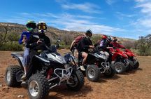Camel riding including Couscous lunch and Quad biking