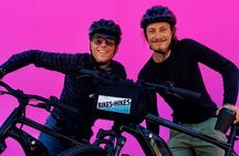 Beverly Hills Tour: Movie Star Homes and LA Sightseeing by E-Bike