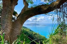 Tortola Private Tour and Snorkeling in the most beautiful beaches