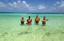 Explore Cozumel by Buggy or Jeep with Snorkel & Lunch