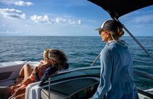 Private boat Charter Dolphin & Snorkeling tour Sandbar Key West