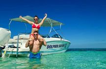 Private boat Charter Dolphin & Snorkeling tour Sandbar Key West