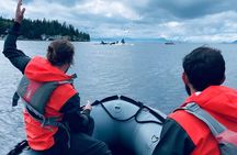 Ketchikan Zodiac Boat Adventure 