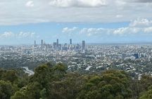 Lone Pine, Brisbane Highlights and Lunch!