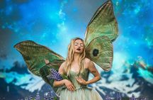 Become a Fairy Princess for the day