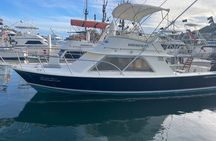 Pacifictime Sports Fishing in Cabos san lucas 