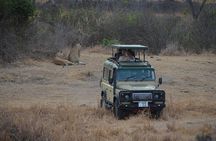 Day Safari Tour Selous Game Reserve