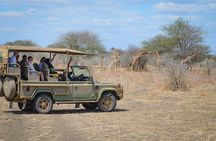 Day Safari Tour Selous Game Reserve