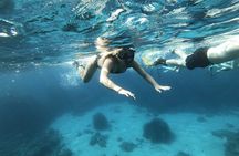 Guided Snorkeling Excursion in Malta