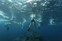 Guided Snorkeling Excursion in Malta