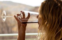 Wine tasting in Rhodes, inside the vineyards with the Producer