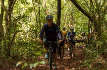 Bike trip from Alter do Chão to Ponta de Pedras Beach