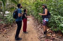 Cahuita National Park Tour and Water Experience in Puerto Viejo 