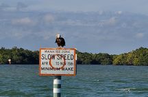 Sunset Dolphin Cruise with Sanibel Lighthouse Views